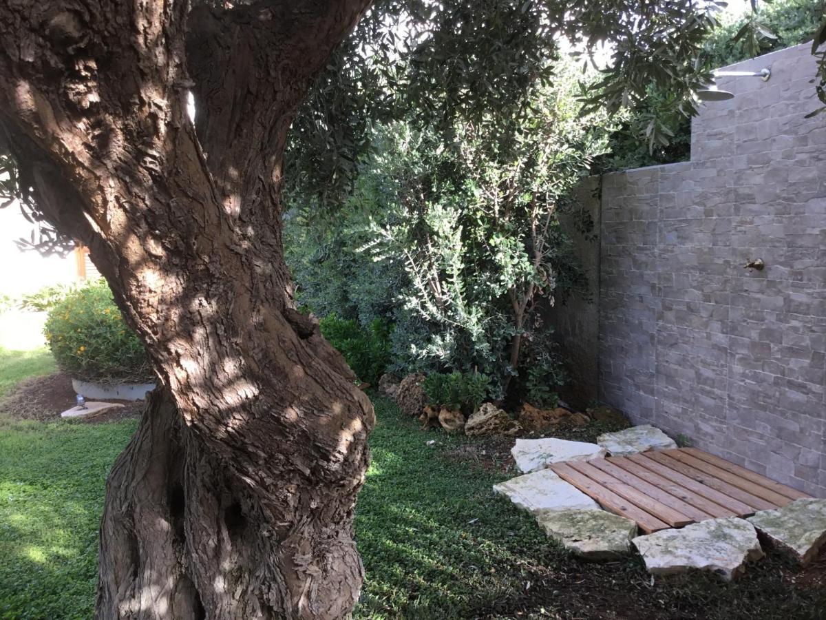 מרסאלה Birgi Holiday Home מראה חיצוני תמונה